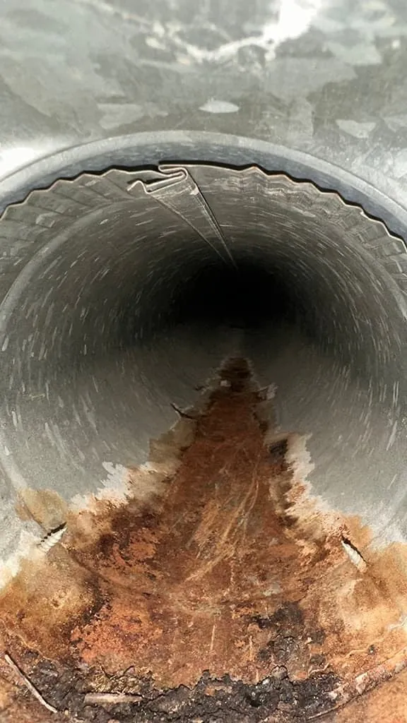 Register and duct cleaning results