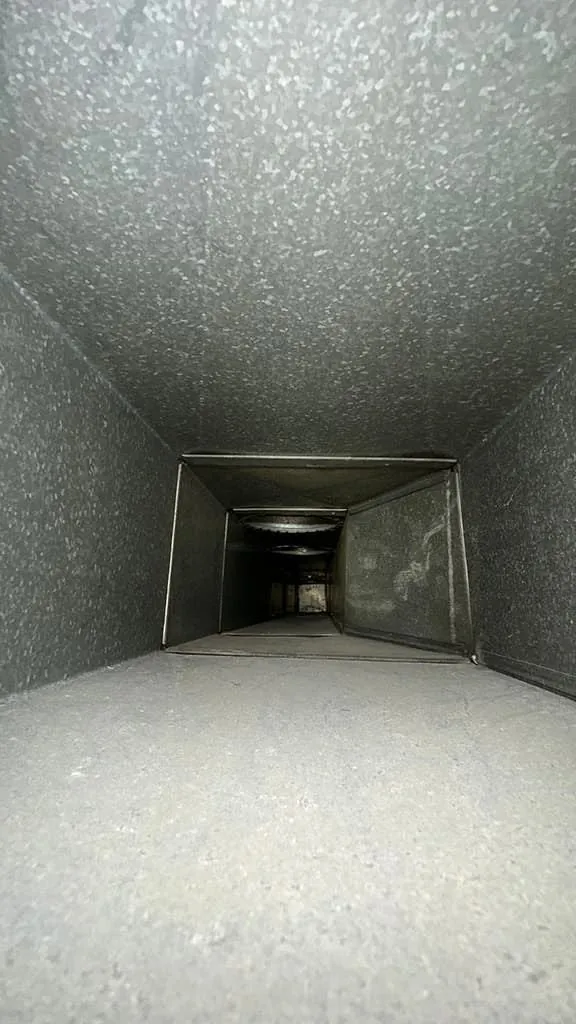 Dryer vent before and after